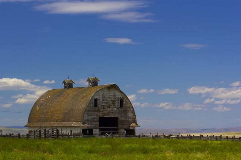 Assurance agricole &agrave; Rethel, protection compl&egrave;te de votre exploitation
